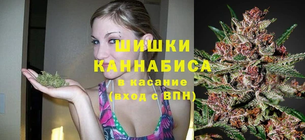 сатива Михайлов