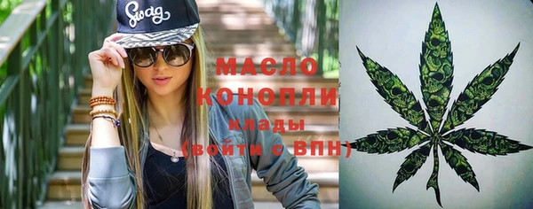 сатива Михайлов
