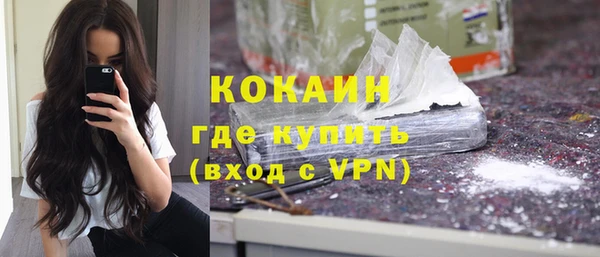 сатива Михайлов