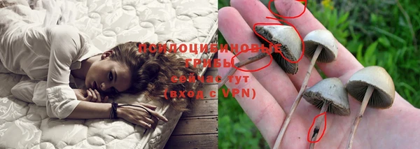 сатива Михайлов
