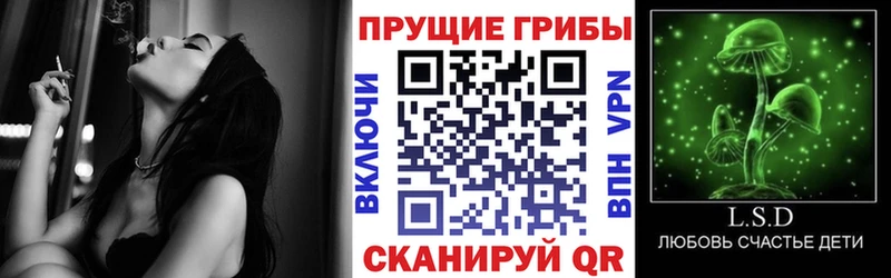 Купить закладки  Кинешма  Галлюциногенные грибы мухоморы 